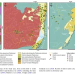 Ozán et al. 2025-4